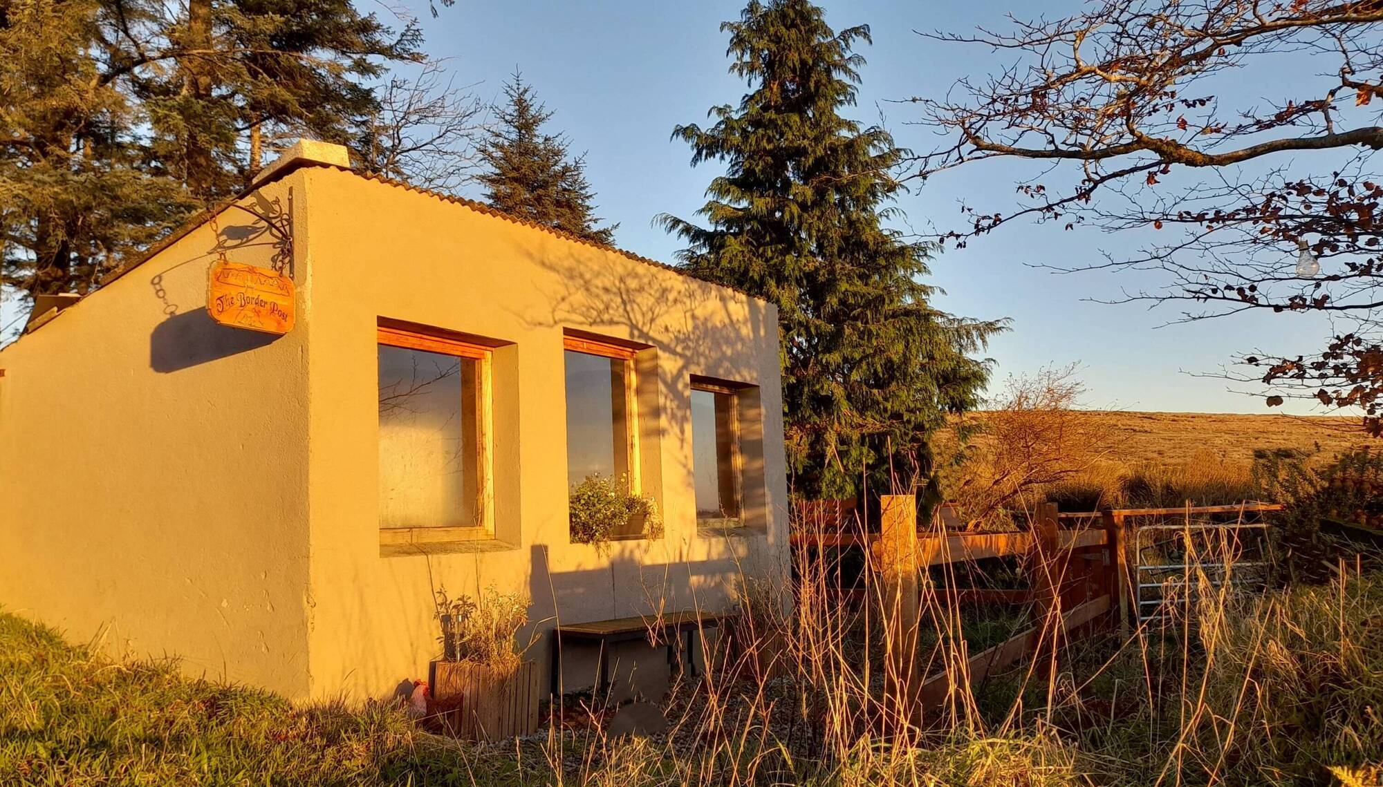 The Poultry Station – Helping to build a better Ireland - news - Vimarsana News