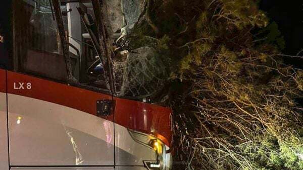 Lucky escape for driver and passengers after tree smashes into bus - Homepage - Vimarsana News