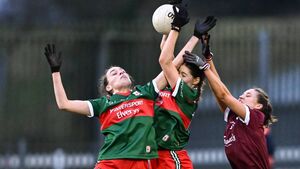 LGFA announces details of 2024 live-streaming service LGFA announces details of 2024 live-streaming service