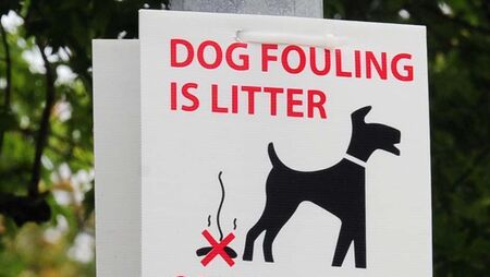 Dog fouling is repeat problem outside Mayo school Dog fouling is repeat problem outside Mayo school