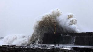 American man applied for visas in name of dead babies when he had 'visa difficulties' American man applied for visas in name of dead babies when he had 'visa difficulties'