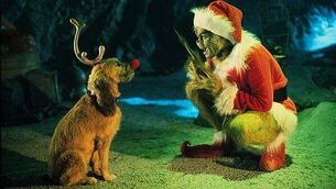 Fianna Fáil support drops to lowest point in nearly two years, poll finds Fianna Fáil support drops to lowest point in nearly two years, poll finds