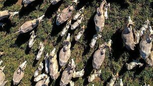 Natasha O'Brien calls for new hate crime laws in Pride speech Natasha O'Brien calls for new hate crime laws in Pride speech