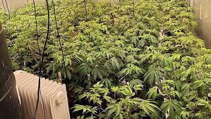 Child-killer appeals conviction arguing CCTV evidence was breach of privacy Child-killer appeals conviction arguing CCTV evidence was breach of privacy