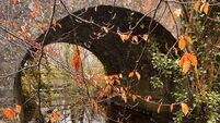 Local Notes: Magnificent autumnal vista at Moorehall Bridge. Local Notes: Magnificent autumnal vista at Moorehall Bridge.