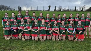 Attacking strategy requires urgent attention if Mayo are to bloom in summer Attacking strategy requires urgent attention if Mayo are to bloom in summer