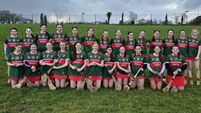 Gallant Mayo fall to defending champions Gallant Mayo fall to defending champions