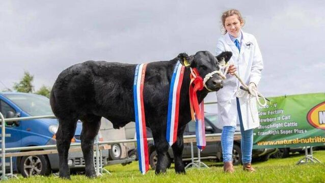 Ballina Show is among the recipients of funding from the department of Rural and Community Development and the Gaeltacht. <p>Ballina Show is among the recipients of funding from the department of Rural and Community Development and the Gaeltacht.</p>