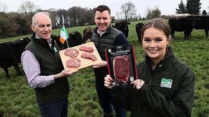 Tánaiste warns students and young people about dangers abroad Tánaiste warns students and young people about dangers abroad