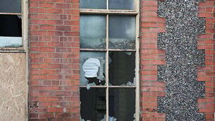 Assault victim said his testicle was size of goose egg and he feared he would lose it Assault victim said his testicle was size of goose egg and he feared he would lose it