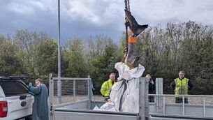 <p>Photo from: National Museum of Ireland</p> <p>Photo from: National Museum of Ireland</p>