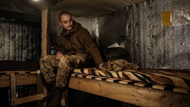 We learn a lot from how we treat animals We learn a lot from how we treat animals