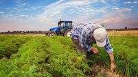 The land that forgot how to feed itself The land that forgot how to feed itself