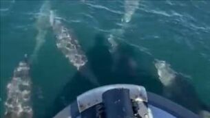 <p>Footage from: Achill Island RNLI</p> <p>Footage from: Achill Island RNLI</p>