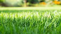 Archers Topline unveils expanded blooming garden deals for the season ahead Archers Topline unveils expanded blooming garden deals for the season ahead