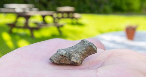 Investigation into 'fossil' find on Mayo estate Investigation into 'fossil' find on Mayo estate
