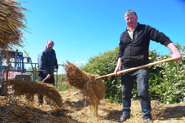 Ian Carroll and Seamus Feeney are pictured helping out with the threshing. Ian Carroll and Seamus Feeney are pictured helping out with the threshing.