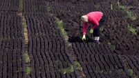 Turf cutters deserve better than directives Turf cutters deserve better than directives