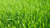 Major Mayo land deal formalised Major Mayo land deal formalised