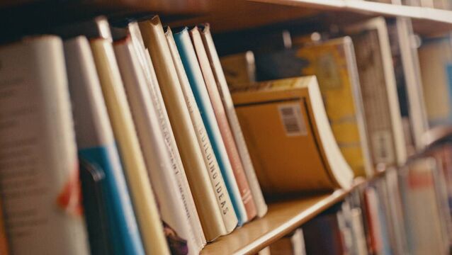 Mayo book lovers invited to local literary festival Mayo book lovers invited to local literary festival