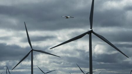 Mayo's windfarm projects may become 'very divisive' Mayo's windfarm projects may become 'very divisive'