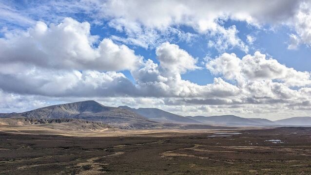 The call of the wild in majestic North Mayo The call of the wild in majestic North Mayo