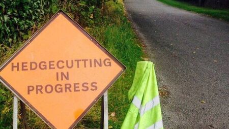 Councillor seeks cutting of overgrown verges on busy road Councillor seeks cutting of overgrown verges on busy road