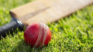 <p>Cricket ball and cricket bat.</p> <p>Cricket ball and cricket bat.</p>