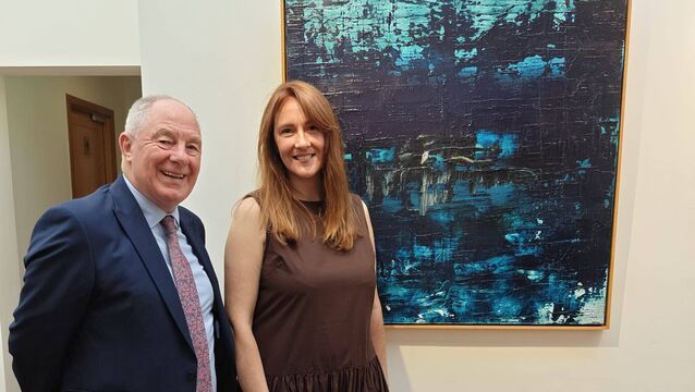 Stunning art exhibition opens in Westport Stunning art exhibition opens in Westport