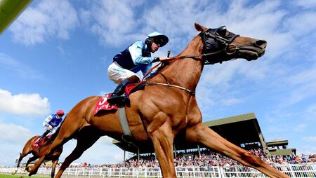 Ballinrobe Races: Upcoming meetings, what's on and everything you need to know Ballinrobe Races: Upcoming meetings, what's on and everything you need to know