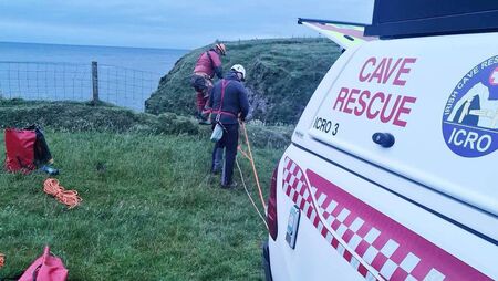 Daring operation to rescue stranded dog from sea cave Daring operation to rescue stranded dog from sea cave
