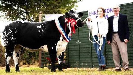 Record crowds attend brilliant Enniscrone Show Record crowds attend brilliant Enniscrone Show