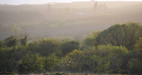 Ox Mountains were an inspiration for Yeats Ox Mountains were an inspiration for Yeats