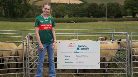 Teenage Mayo sheep farmer to take part in national initiative Teenage Mayo sheep farmer to take part in national initiative