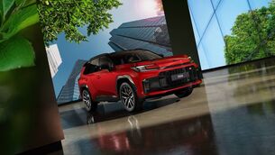 <p>More than 35,000 Toyota RAV4 models have been sold in Ireland to date.</p> <p>More than 35,000 Toyota RAV4 models have been sold in Ireland to date.</p>