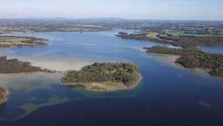 Plague outbreak threatens fish species in Mayo lake Plague outbreak threatens fish species in Mayo lake