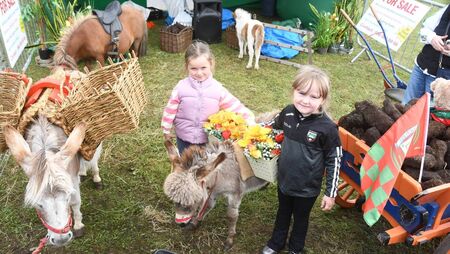 Local Notes: Caoimhe and Frankie enjoy Bonniconlon Show. Local Notes: Caoimhe and Frankie enjoy Bonniconlon Show.