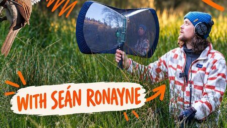 Seán brings 'Untold Sounds' to TF Royal Theatre Seán brings 'Untold Sounds' to TF Royal Theatre