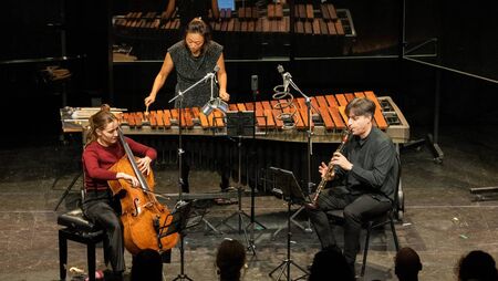 Festival of Chamber Music was a huge success Festival of Chamber Music was a huge success