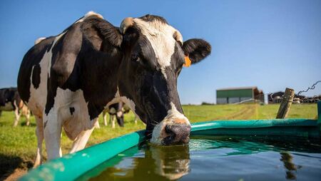 Attention all Mayo farm students - Applications open for 2026 John Feely Scholarships Draw Attention all Mayo farm students - Applications open for 2026 John Feely Scholarships Draw