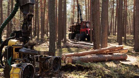 Forest Industries Ireland welcomes Budget 2027 Forest Industries Ireland welcomes Budget 2027